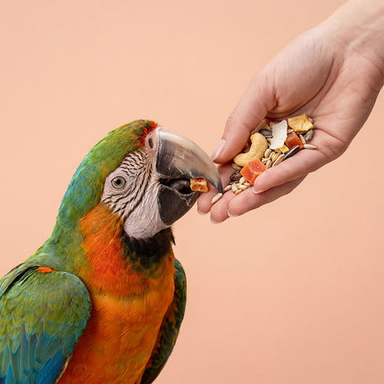 Collection image for: For Birds