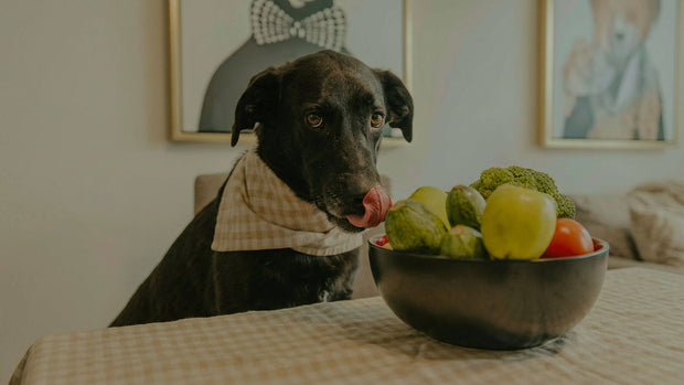 <h3><strong>Only the ingredients your pet truly needs</strong></h3>