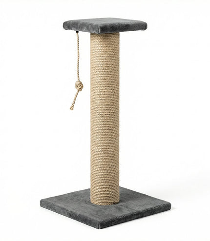 Cat Scratching Post