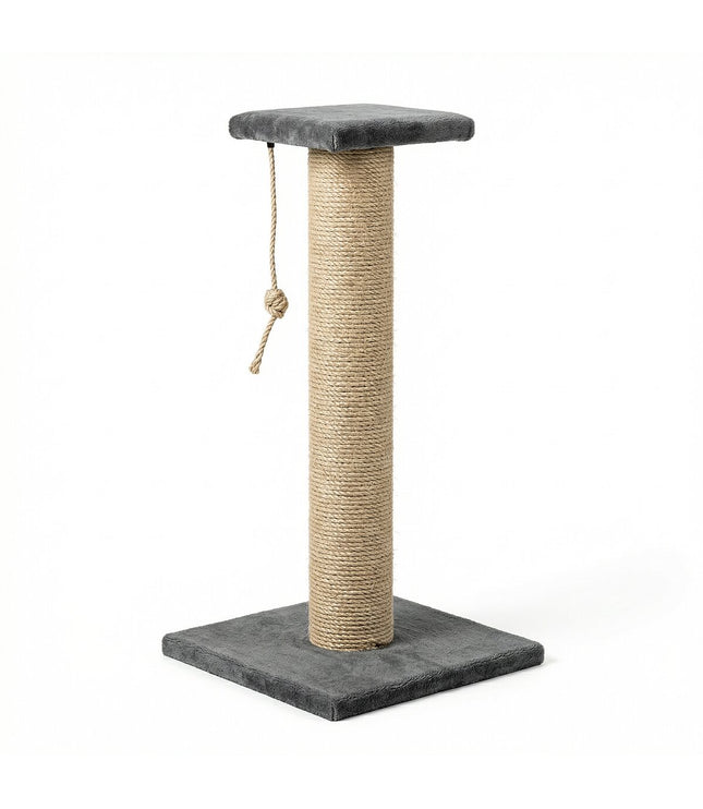 Cat Scratching Post